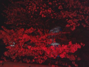 160407_225504